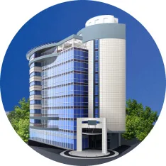 Property Buying Renting Real  Agencies With Finding - 金年会APP